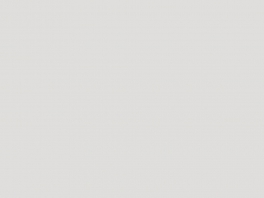 镜灰（爱格麻）